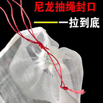 飞尔（FLYER）尼龙网袋 防虫网袋 水稻育种袋 种子袋纱网袋【70x50cm 1个】50个起批