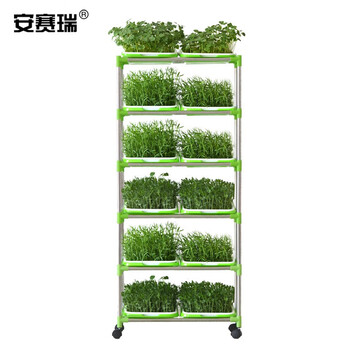 安赛瑞 育苗盘种植架 芽苗菜盘无土栽培豆芽菜育苗盘种植套餐 52×29.5×126cm 500133