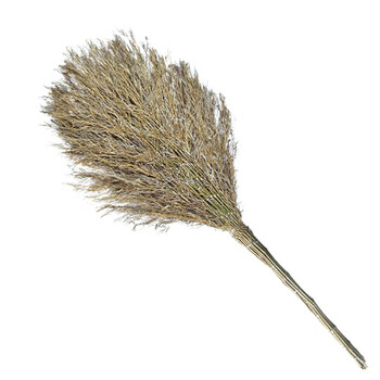 领象 环卫扫把笤帚扫帚 扫马路竹扫把 竹扫帚大扫把高1.7米竹编把3个装