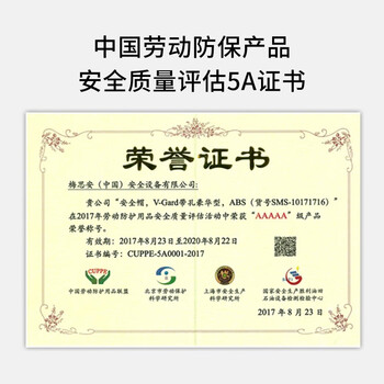 梅思安ABS豪华型安全帽超爱戴帽衬白色针织布吸汗带D型下颏带1顶可印字