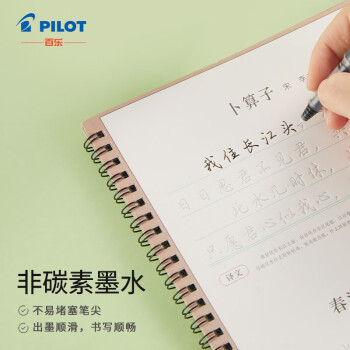 百乐（PILOT）支装 黑色墨胆 BXS-IC V5升级版/可换墨胆