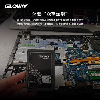 光威（Gloway）256GB SSD固态硬盘 SATA3.0接口 悍将系列