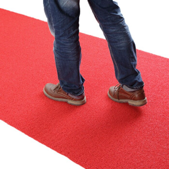 冰禹 BYlj-140 地垫门垫塑料丝圈地毯 红色 宽1.2米*厚13mm长1米（要几米拍几）