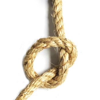 飞尔（FLYER）白棕绳麻绳 50kg起订 剑麻麻绳 工业麻绳 物流麻绳 【Φ10mm 重110g/m】