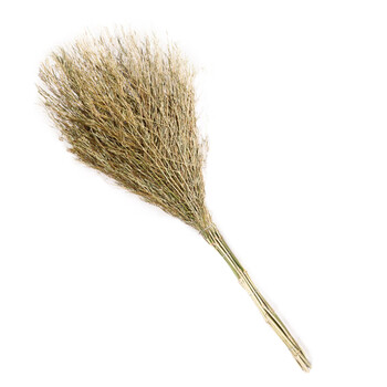 庄太太 连体扫把1把装 手工竹扫帚物业环卫笤帚ZTT-SB-1