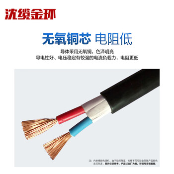 沈缆金环 ZR-RVVZ-0.6/1KV-2*2.5mm² 国标通信机房用阻燃软电缆 1米