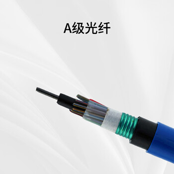 千天（Qantop）QT-MGXTSV-4B1 矿用中心管式阻燃防爆蓝护套光缆 100米