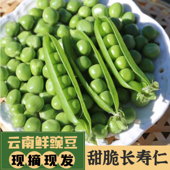 云南带壳脆甜豌豆粒新鲜现摘蔬菜沙拉荷兰豆时令即食青豌豆仁5斤