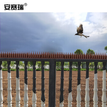 安赛瑞 阳台空调机箱果园围墙防鸟针驱鸟刺 棕色（12支装） 510313