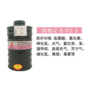 普达PD-0003防毒面具滤毒罐 防氢氰酸苯毒烟毒雾 [Z-B-P2-3]高级过滤件粉色
