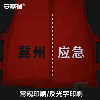 安赛瑞 定制款 国标救生衣（均码）成人船用 救生背心 790005