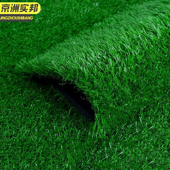 京洲实邦 3cm加厚春草 仿真草坪人工塑料假草皮装饰地毯一平方单价JZSB-9056