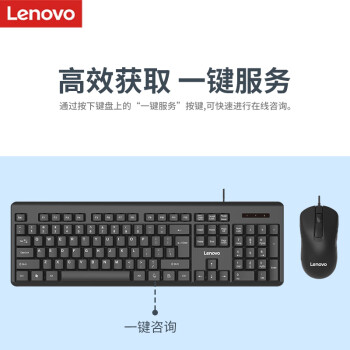 联想（Lenovo）有线键盘鼠标套装 键鼠套装 全尺寸键盘 商务办公 MK11Lite