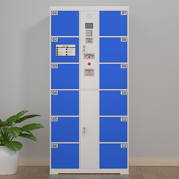 京度电子存包柜商场超市寄存柜单位智能寄存柜储物柜可定制条码款12门