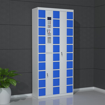 京度 智能手机柜存放柜电子存包柜工厂单位电子储物柜智能柜系统可定制 30门存放柜