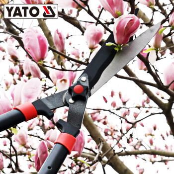 易尔拓 YATO 可伸缩整篱剪 210x（690-890）mm 个 YT-8824