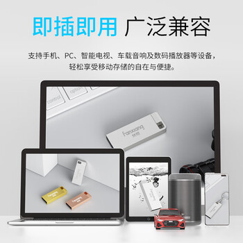梵想（FANXIANG）8G USB2.0 电脑车载金属迷你小U盘F206 银色 防水防震企业竞标投标招标优盘