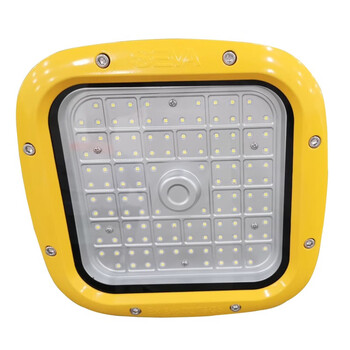 深圳尚为（SEVA）SZSW8210-100F  防爆LED泛光灯