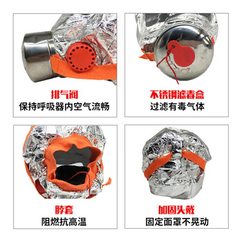 飞尔 消防面具防毒面具 防烟火灾逃生 防火防烟防毒面具过滤自救呼吸器 1个装TZL30 
