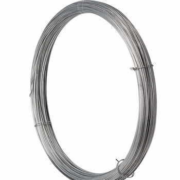 鸣固 镀锌铁丝 防锈电镀铁丝 晾衣绳挂窗帘工地建筑细铁丝线 12号1斤（直径2.8mm）约8米 ZA1214