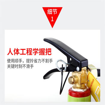 江盾 手提式二氧化碳灭火器 MT/5 5kg 5公斤