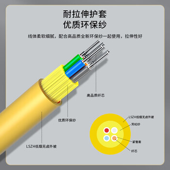 千天（Qantop）GJFJH-24B1室内单模千兆9/125束状光缆 10米