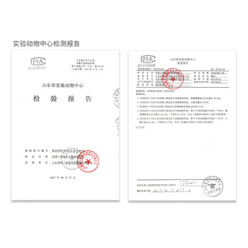 消博士 免洗手消毒凝胶 医院外科用速干乙醇洗手液 含酒精杀菌消毒液 公司工厂学校成人儿童便携 500ml