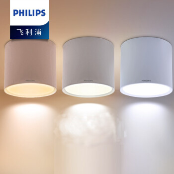 PHILIPS飞利浦LED明装筒灯DN003C 9英寸直径225mm24W白光6500K 1个