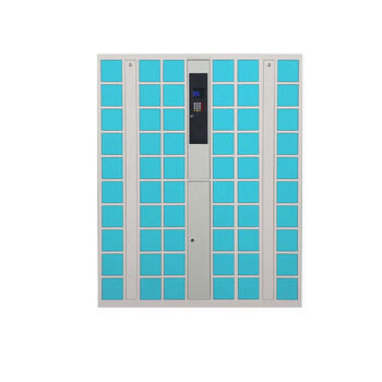 峦盾（Range shield）60格手机智能存放柜 手机存放柜 指纹识别工厂单位员工商场超市多门储物柜