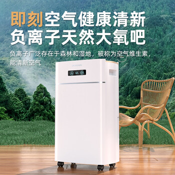 多乐信（DOROSIN）除湿机/抽湿机 除湿量20升/天 家用轻音地下室干衣除湿吸湿器APP智控负离子净化干燥机ER-620ES