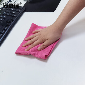 安赛瑞 无尘擦拭布 彩色抹布 洁净抹布 30*32cm (10片装）干湿两用 不易掉毛 粉色 710330