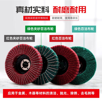 蓝凤凰 100*16  立式百洁布磨片不锈钢抛光片磨光机用金属飞翼打磨片夹砂 夹砂百洁布磨片 【绿色10片】
