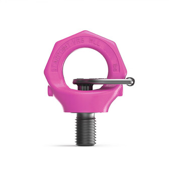 路德（RUD）螺栓型万向旋转吊环VRS-F-M33(带星型扳手)载荷4.5t