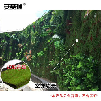 安赛瑞 仿真苔藓 人造草皮仿真草坪 微景观造景青苔绿植 橱窗盆景仿真装饰 红底青苔 510298