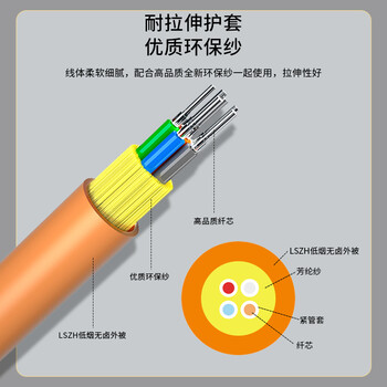 千天（Qantop）QT-GJFJH-6A1a 室内光纤线多模50/125束状 10米