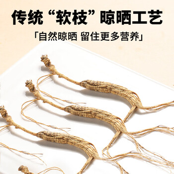 北京同仁堂【年货礼品】人参林下山参礼盒1.51-2.5g/B 整枝15年以上野山参 泡酒 滋补品送父母长辈送礼