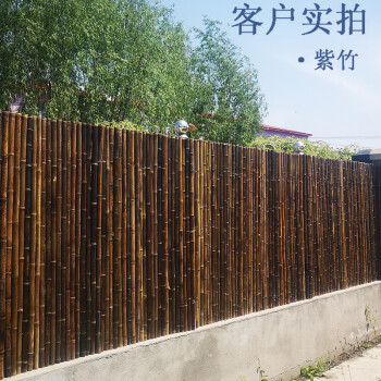 公鹤malecrane竹篱笆竹栅栏庭院装饰隔断竹子围栏室内竹排围墙户外