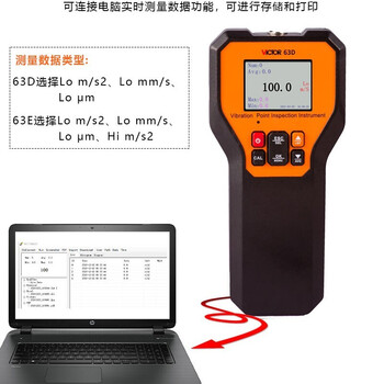 胜利仪器（VICTOR）振动测试仪测震仪振动分析仪振动烈度点检仪振动点检器中低频 VC63E 标配现货