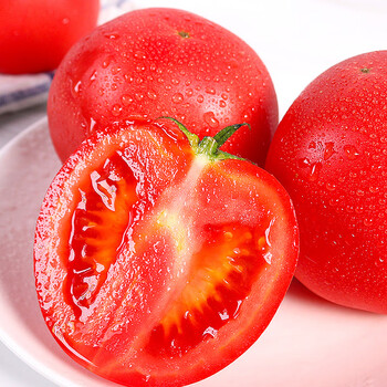 ���������ʽ����� ɳȿ�������� ��Լ9��