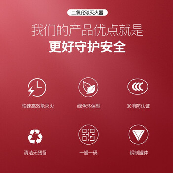 蓝炎 二氧化碳灭火器 机房精密仪器气体手提式5公斤干冰灭火器 消防器材 MT/5