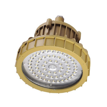 弗朗（IRE）BRE8628B LED防爆灯 BFC8126-100W