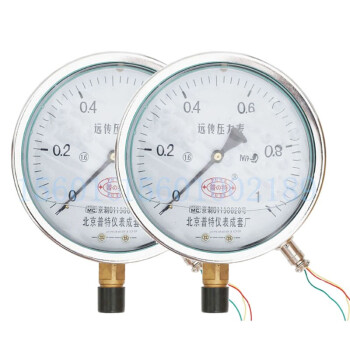 普特 Y100 0-2.5Mpa 径向 耐震远传压力表