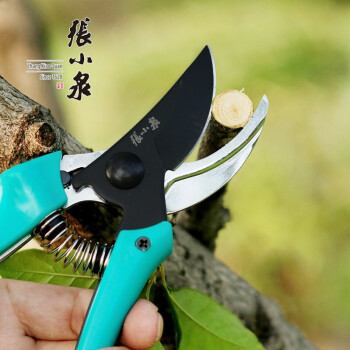 张小泉 整枝剪园林园艺修枝剪树枝果树剪刀大号修花剪刀 190mm春悦系列整枝剪ZH-312