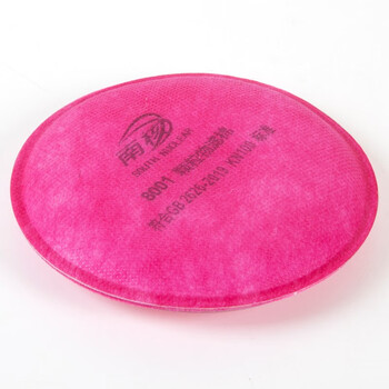 南核 SOUTH NUCLEAR 8001 KN100过滤棉【1片】