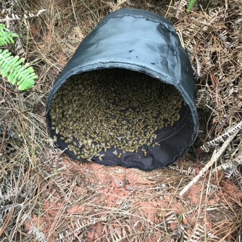 蜜蜂收蜂笼招蜂袋新型折叠诱蜂布袋土蜂捉野外分蜂群中蜂引蜂笼