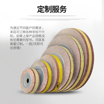 蓝凤凰  200*25*32孔 千叶轮千页轮砂纸片打磨轮卡盘叶轮 砂布轮不锈钢抛光轮 200*25*32孔 80目