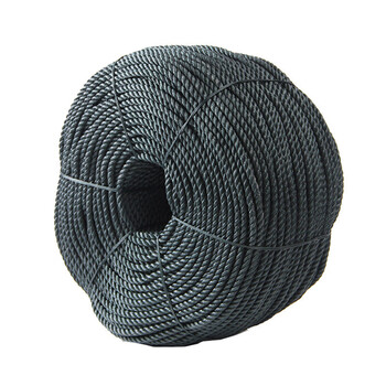 飞尔（FLYER）黑色尼龙绳子 晾衣绳 打包编织绳 捆绑塑料绳【6mmx50米】