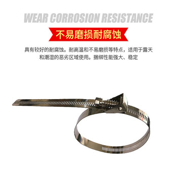 飞尔（FLYER）304不锈钢扎带 加厚活扣扎带 自锁式扎带 可拆卸捆绑带【12宽×800mm 100根/包】