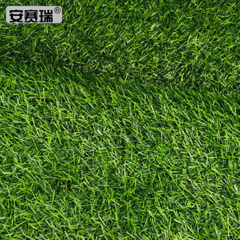 安赛瑞 仿真草坪 人造塑料假草皮 宽2m长10m2cm加密春草 700585