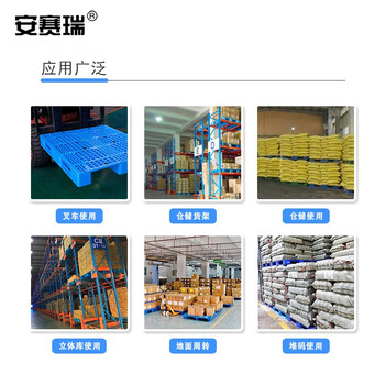 安赛瑞 塑料托盘 吹塑双面托盘 工业叉车仓储物流栈板卡板垫仓板地台板 150×130×15cm 蓝色 200351